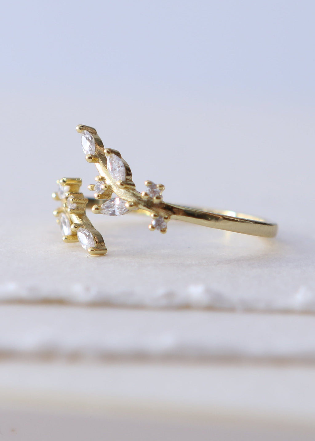 EDEN RING