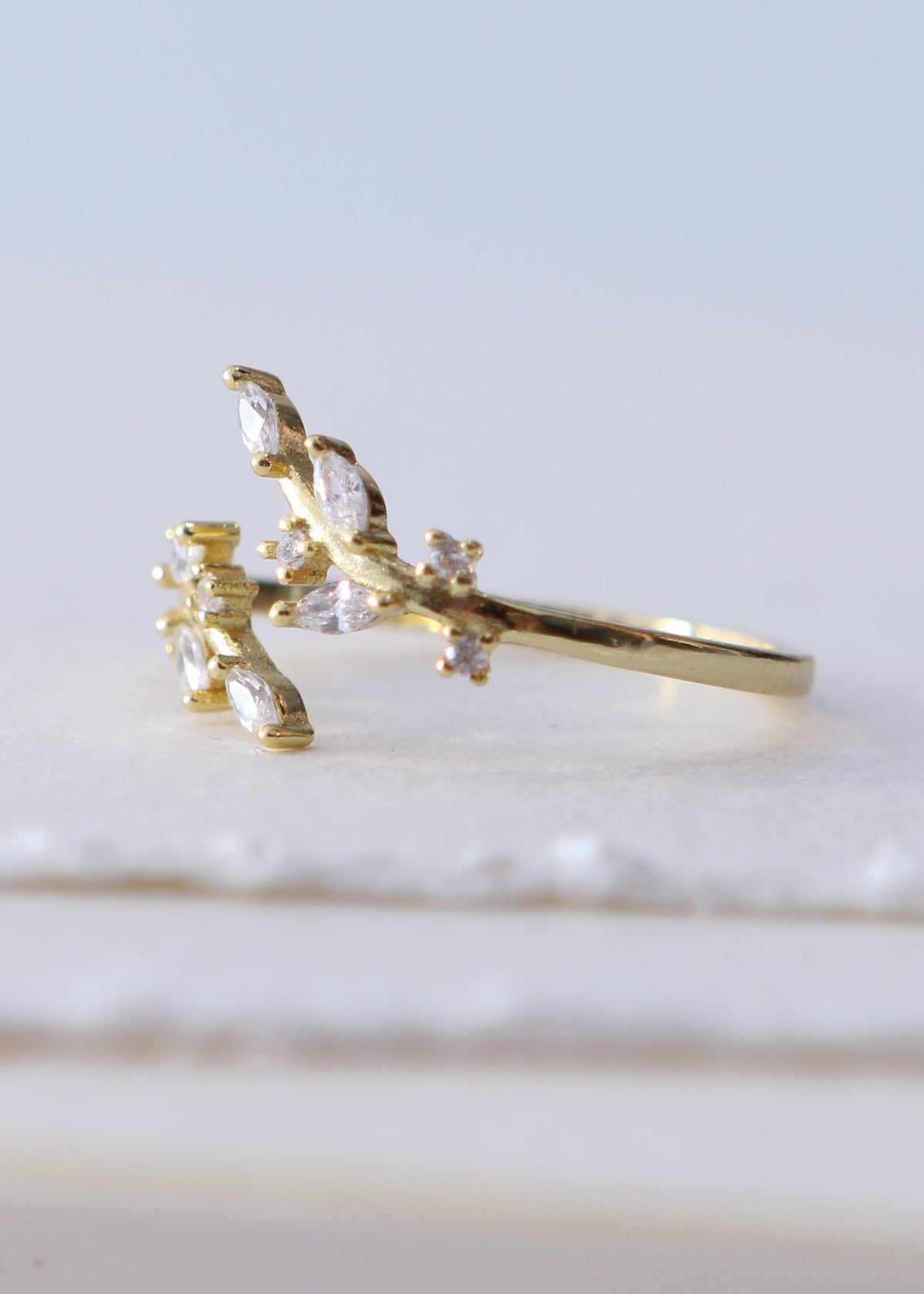 EDEN RING
