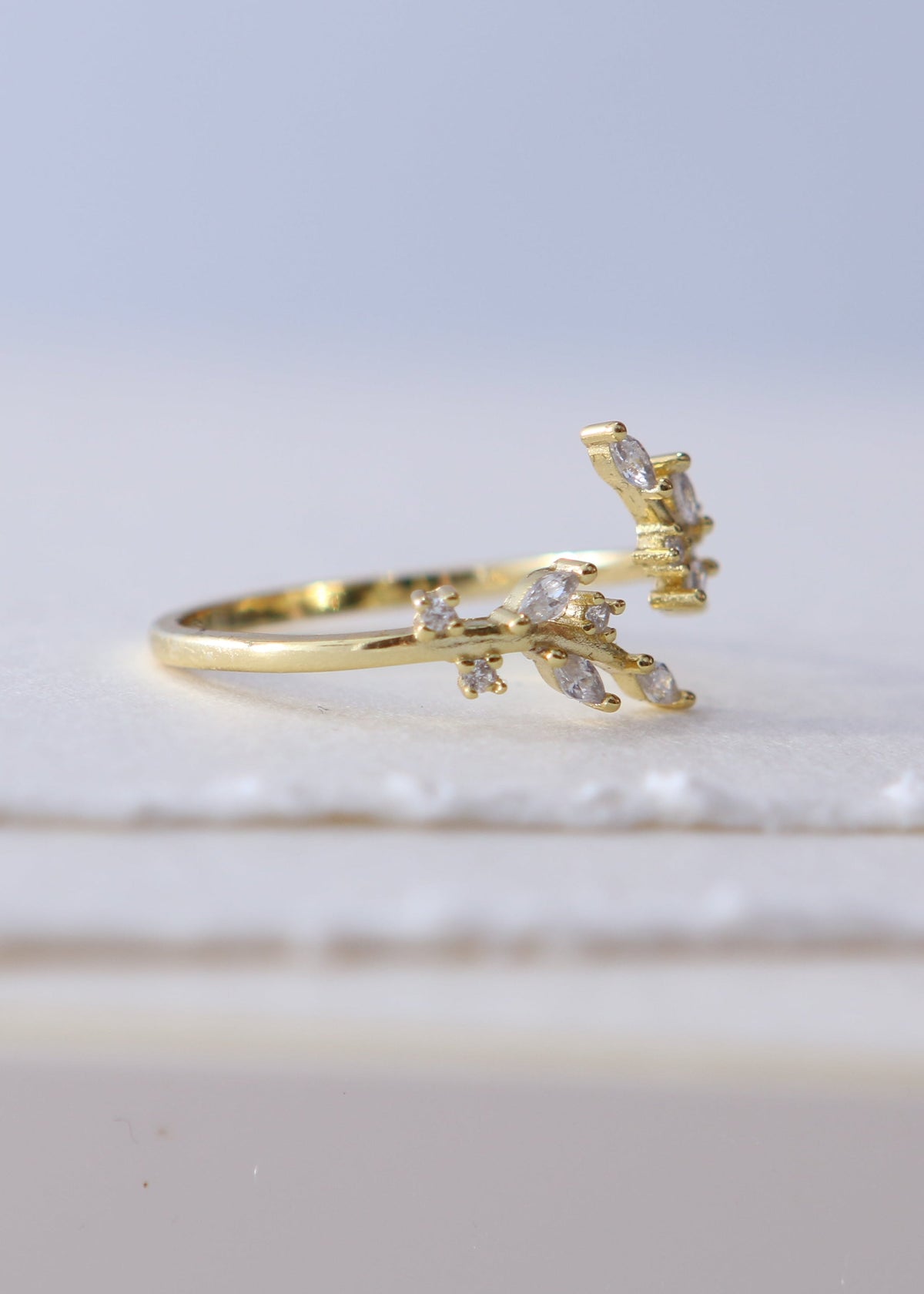 EDEN RING